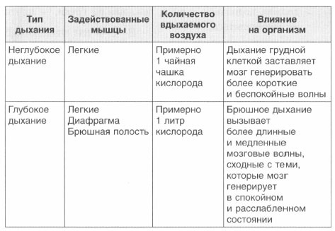 Год, прожитый правильно. 52 шага к здоровому образу жизни