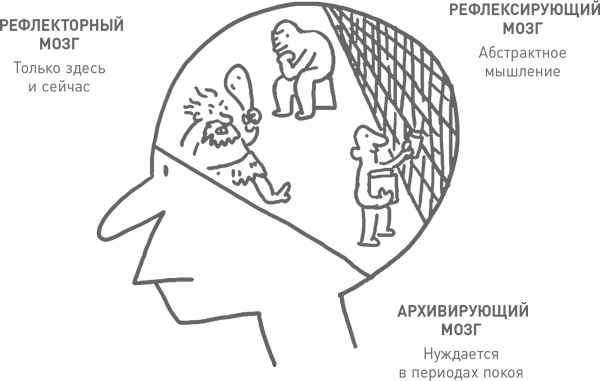 Мозг освобожденный. Как предотвратить перегрузки и использовать свой потенциал на полную мощь