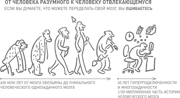 Мозг освобожденный. Как предотвратить перегрузки и использовать свой потенциал на полную мощь