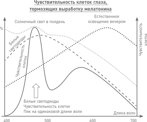 Мозг освобожденный. Как предотвратить перегрузки и использовать свой потенциал на полную мощь