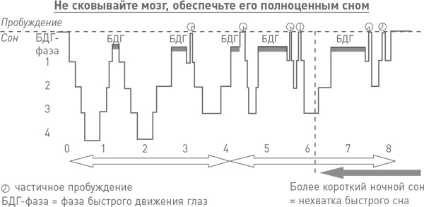 Мозг освобожденный. Как предотвратить перегрузки и использовать свой потенциал на полную мощь