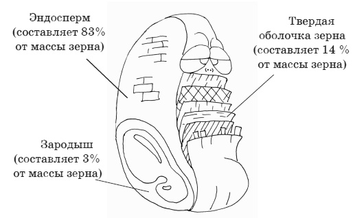 Палеодиета – живое питание для здоровья