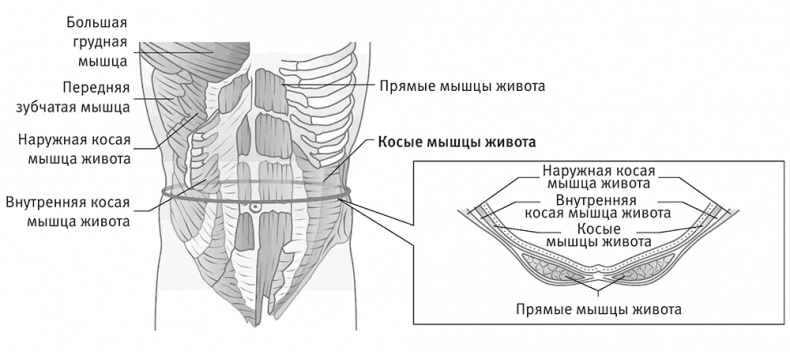 Совершенное тело за 4 часа