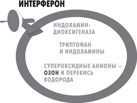 Вода – натуральное лекарство от ожирения, рака, депрессии