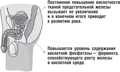 Вода – натуральное лекарство от ожирения, рака, депрессии