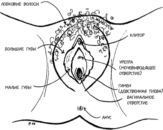 Девчонкология