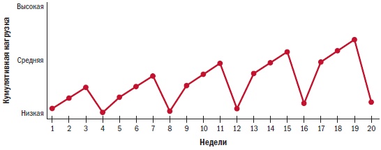 Библия велосипедиста