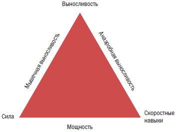 Библия велосипедиста