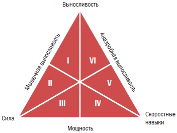 Библия велосипедиста