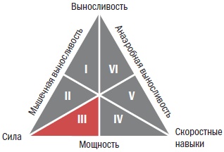 Библия велосипедиста