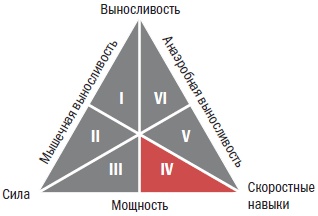 Библия велосипедиста