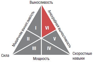 Библия велосипедиста