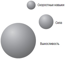 Библия велосипедиста