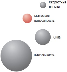 Библия велосипедиста