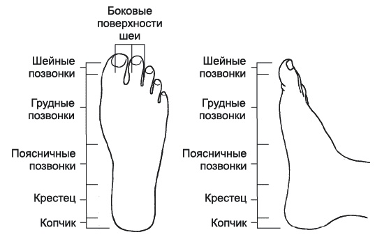 Грыжа позвоночника. Безоперационное лечение и профилактика