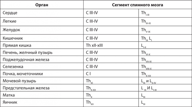 Атлас. Практический массаж