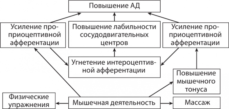 Атлас. Практический массаж