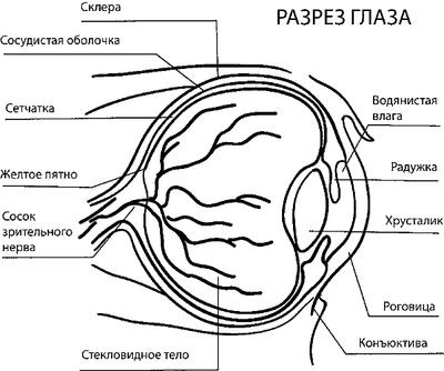 Болезни глаз: глаукома и катаракта. Карманный справочник