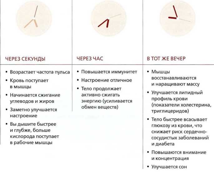 Книга о теле