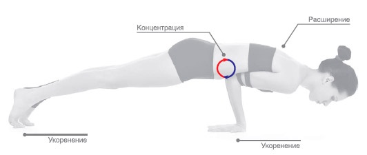 Энергетика йоги. Практический курс