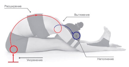 Энергетика йоги. Практический курс