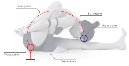 Энергетика йоги. Практический курс