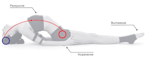 Энергетика йоги. Практический курс