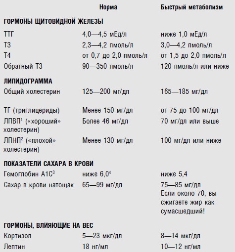 Диета для ускорения метаболизма