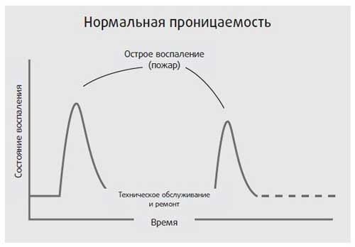 Здоровье начинается с правильной еды