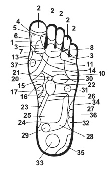 Точки болезни и здоровья на ваших ступнях