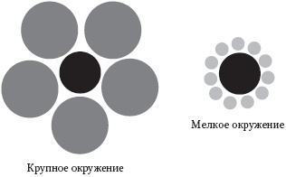 Левое полушарие – правильные решения. Мыслить и действовать: как интуиция поддерживает логику