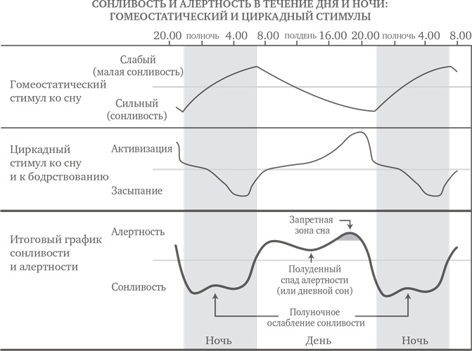 Сон ребенка. Решение всех проблем