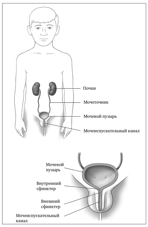 Сон ребенка. Решение всех проблем