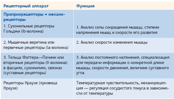 Кинезиотейпинг в лечебной практике неврологии и ортопедии