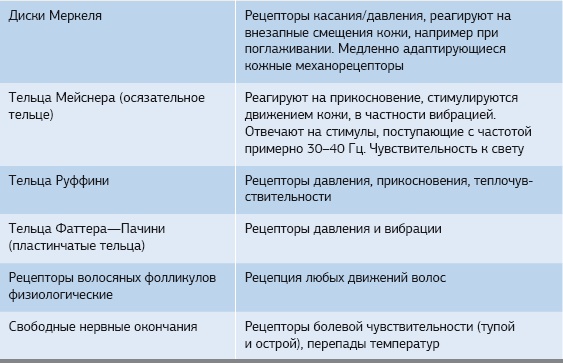 Кинезиотейпинг в лечебной практике неврологии и ортопедии