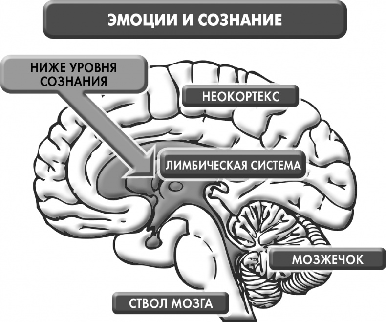 Сам себе плацебо: как использовать силу подсознания для здоровья и процветания