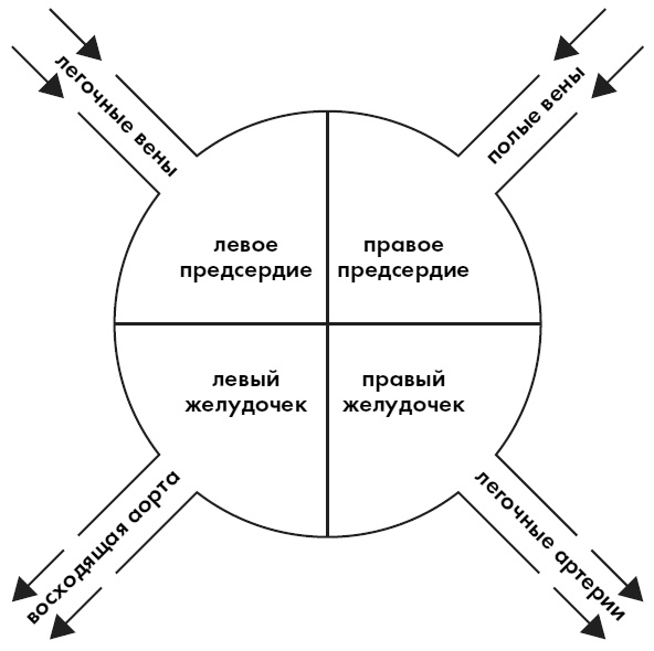 Любовь. Секреты разморозки