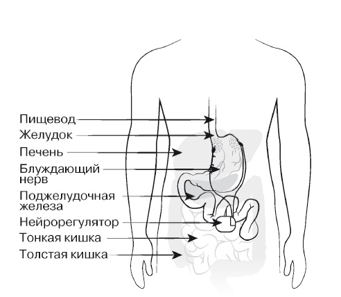 Европейское исследование. Бады, витамины, ГМО, биопродукты