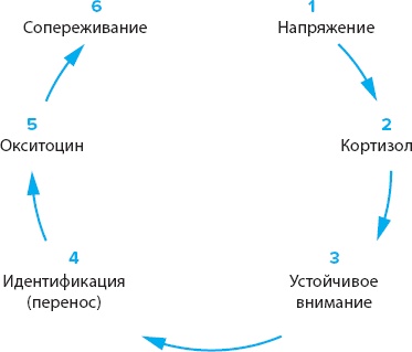 100 новых главных принципов дизайна. Как удержать внимание