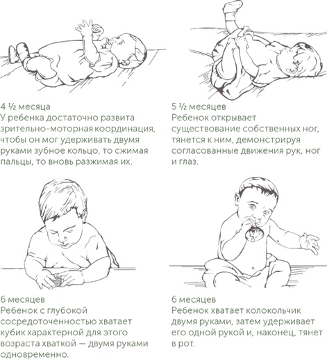 Игра в раннем детстве: От рождения до 6 лет