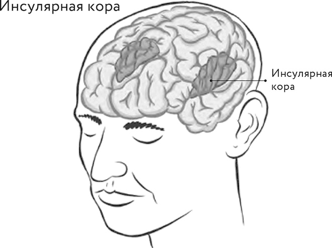 Восходящая спираль. Как нейрофизиология помогает справиться с негативом и депрессией – шаг за шагом