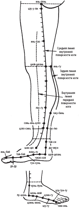 Лечебные точки организма. Снимаем боли в суставах и мышцах, укрепляем кожу, вены, сон и иммунитет