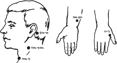 Лечебные точки организма. Снимаем боли в суставах и мышцах, укрепляем кожу, вены, сон и иммунитет