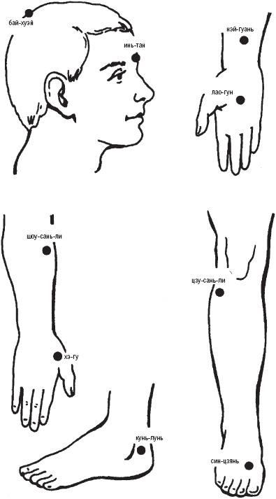 Лечебные точки организма. Снимаем боли в суставах и мышцах, укрепляем кожу, вены, сон и иммунитет