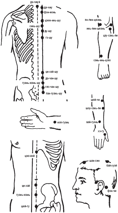 Лечебные точки организма. Снимаем боли в суставах и мышцах, укрепляем кожу, вены, сон и иммунитет