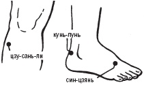 Лечебные точки организма. Снимаем боли в суставах и мышцах, укрепляем кожу, вены, сон и иммунитет