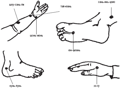 Лечебные точки организма. Снимаем боли в суставах и мышцах, укрепляем кожу, вены, сон и иммунитет
