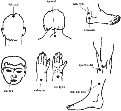 Лечебные точки организма. Снимаем боли в суставах и мышцах, укрепляем кожу, вены, сон и иммунитет