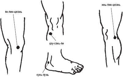Лечебные точки организма. Снимаем боли в суставах и мышцах, укрепляем кожу, вены, сон и иммунитет