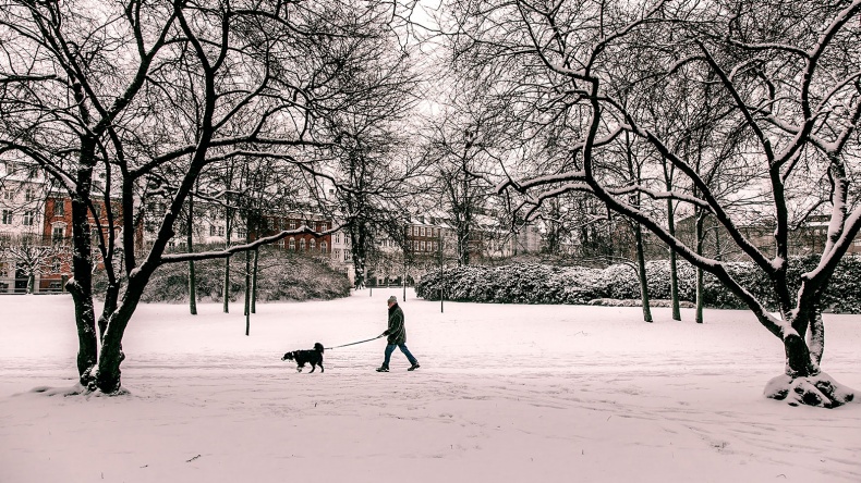 Hygge. Секрет датского счастья